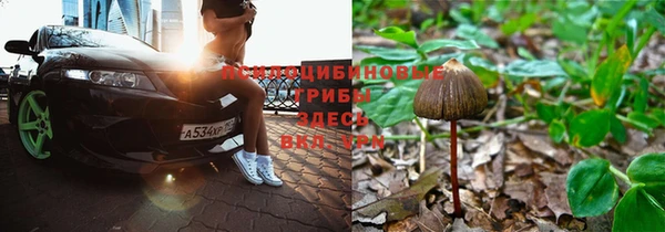 спайс Новозыбков