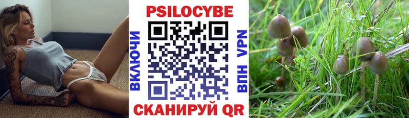 наркошоп  Красноуральск  hydra зеркало  Псилоцибиновые грибы GOLDEN TEACHER 